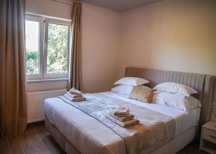 Adela فيلة Zitnic